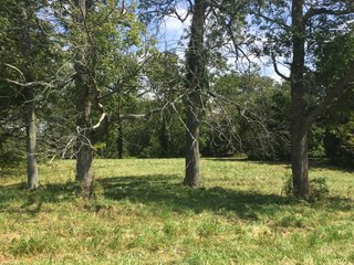 Property photo 5 - FARM AUCTION - 70.50+/- ACRES OFFERED IN 3 TRACTS IN WAYNE COUNTY, INDIANA